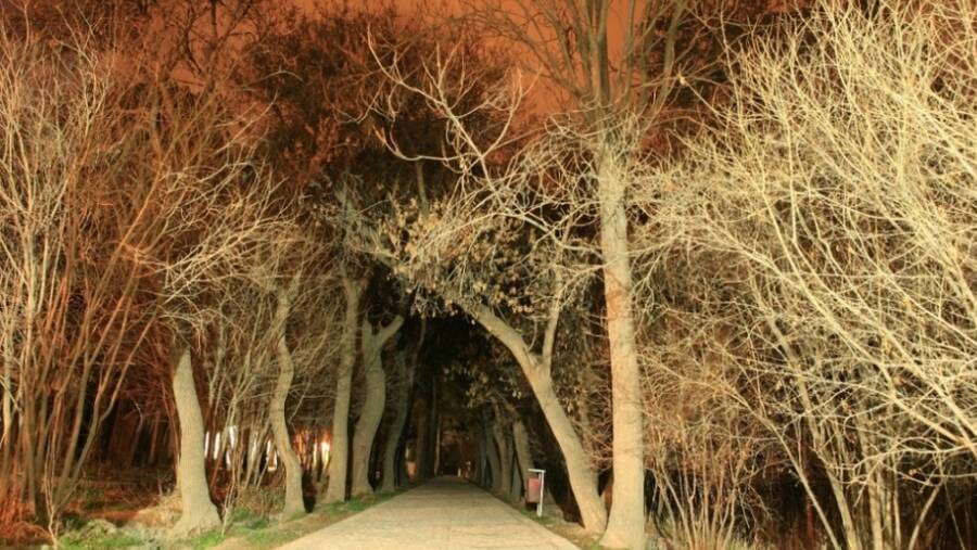 Shokat Abad Garden